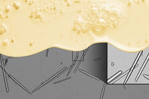 spicules-natori-phytospicule-retinol-microneedle