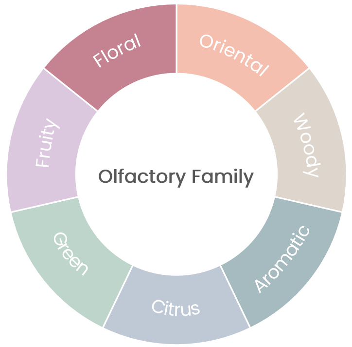 Aromatic wheel
